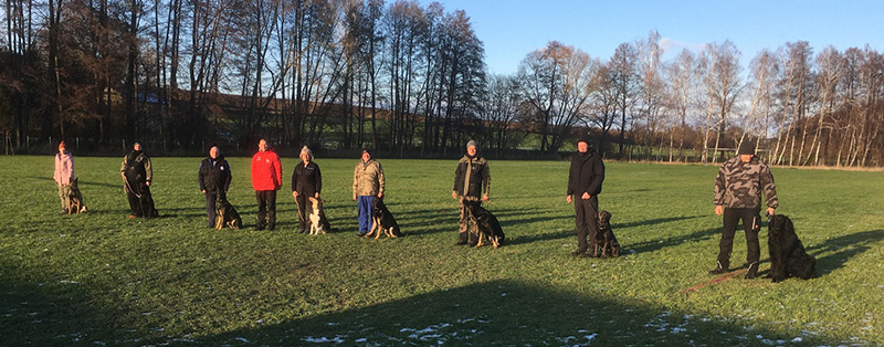 PHOTO 2024 11 25 18 30 40 4a